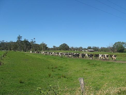 NIÑO  MUERTO EN JERSEYVILLE  AUSTRALIA