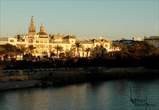 VICENTE VEGA HUMANES " GITANILLO DE TRIANA CHICO"