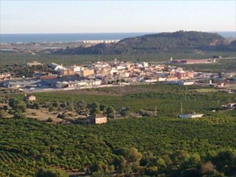 AFICIONADO MUERTO  EN  LA LLOSA (CASTELLÓN)