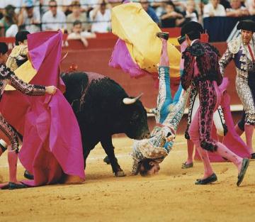 FRANCISCO GÁZQUEZ FERNÁNDEZ  "CURRO VALENCIA"