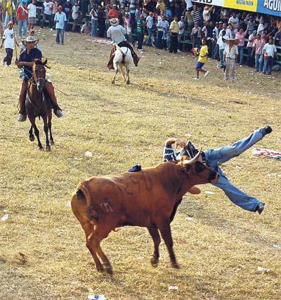 JOSÉ DAVID RODRÍGUEZ " EL CHELO "