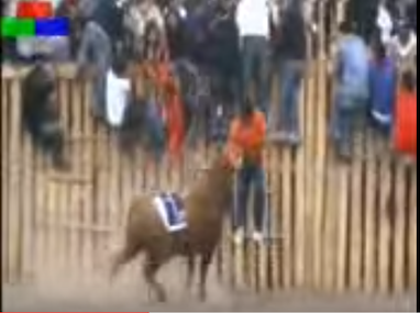 ANÓNIMO MUERE EN FIESTAS DE TOROS DE SALCEDO, ECUADOR, EN 2009
