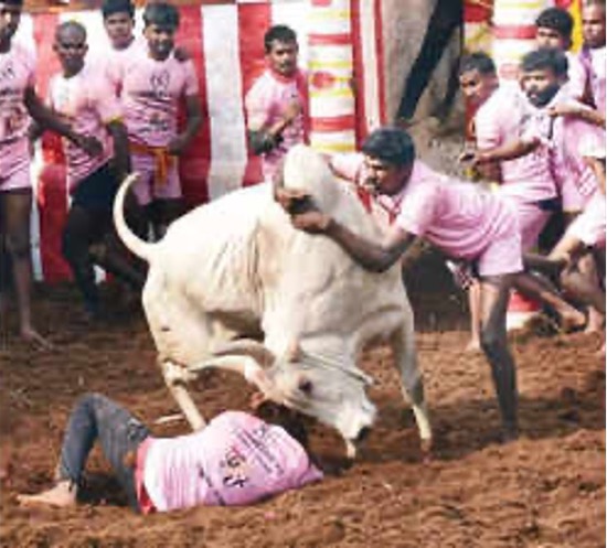 AYYANAR 2003 - 2025 AYYANAR 2003 - 2025