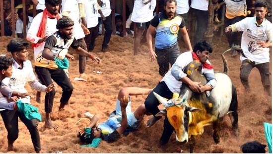 BALAGURU            2002  -  2026