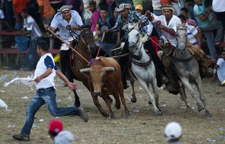 DESCONOCIDO MUERE EN LAS CORRALEJAS DE CAUCASIA DE 2017
