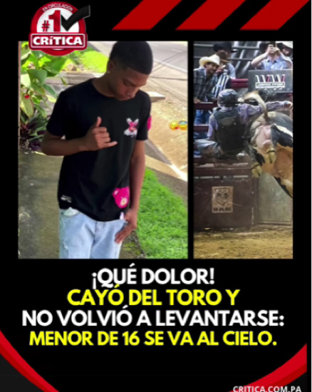 EDGARDO MANUEL CEDEÑO (EDGARDITO)                2010  - 2026