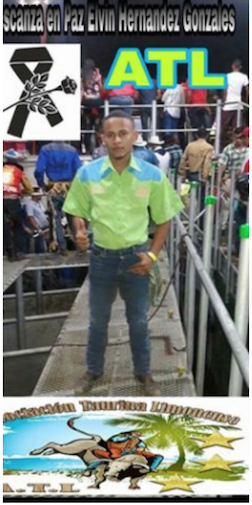 ELVIN HERNÁNDEZ GONZÁLEZ    XXXX  -  2018
