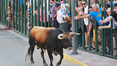 ESTEBAN FERNÁNDEZ PRIMO