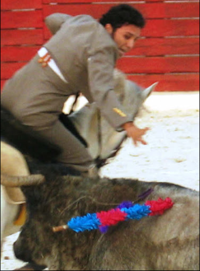 GONZALO MANUEL HERRERA CARO