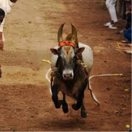 S. GUNASEKARAN            1978  -  2026