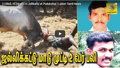 MUEREN 5 PERSONAS EN FIESTAS DE JALLIKATTU EN LA INDIA EN 2017