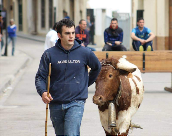 JORGE BARBERÁN GUARCH                1992  -  2021