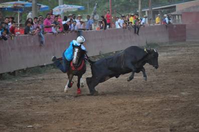 JORGE  ENRIQUE CHAPARRO