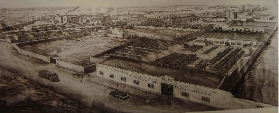 FERNANDO JOSÉ CASAÑES