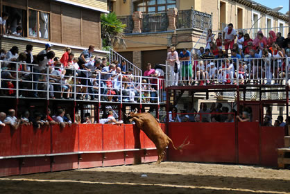 JOSÉ ANTONIO FERRERO MOLDÓN