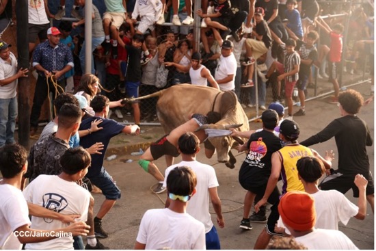 JOSEPH ANTONIO URBINA MARTÍNEZ     2008  -  2025