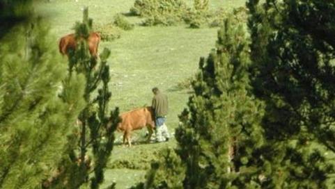 JUAN PEDRO CARDOZO          1967  -  2003