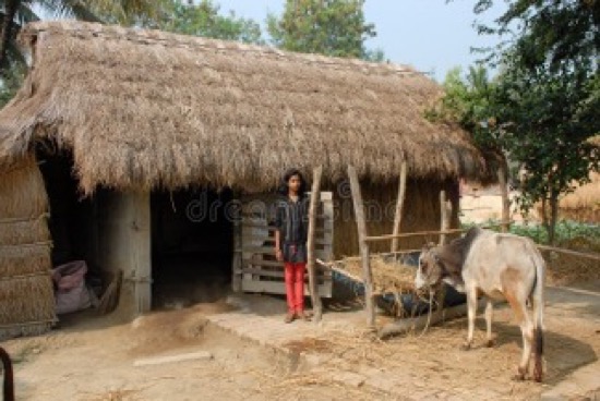 D. LAKSHMANAN                1962  -  2026