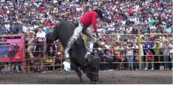 MATAN A UN MONTADOR DE TOROS EN IGUALA GRO.,MÉXICO, EN 2022