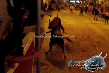 MUEREN DOS EN LARGADA DE TOROS EN MOITA, PORTUGAL, EN 2014