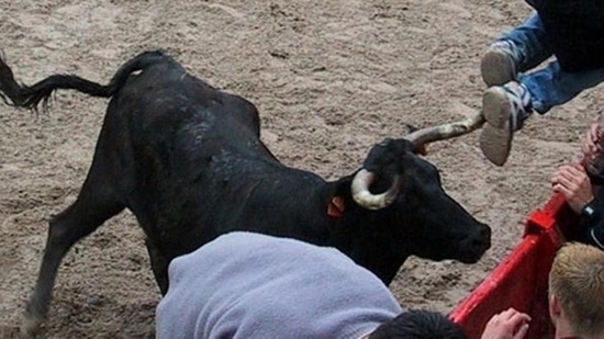 MUERE ANCIANO EN ENCIERRO DE GELSA EN 2025