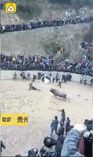 MUERE UN CHINO DURANTE EL FESTIVAL DEL AÑO NUEVO LUNAR DE 2019 MUERE UN CHINO DURANTE EL FESTIVAL DEL AÑO NUEVO LUNAR DE 2019