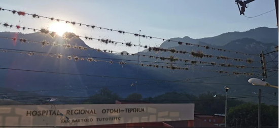 MUERE EN JARIPEO DE SAN BARTOLO TUTOTEPEC, HIDALGO, MÉXICO EN 2025