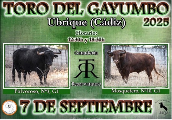 MUERE EN UBRIQUE EN LAS FIESTAS DEL TORO DEL GAYUMBO DE 2025
