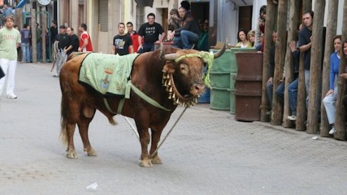 MUERE MUJER EN LOS TOROS ENSOGAOS DE BEAS DE SEGURA EN 2018
