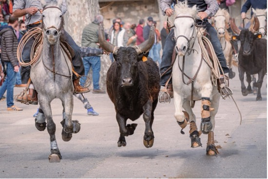 MUERE HOMBRE EN ABRIVADO DE ARAMON, FRANCIA, EN 2025