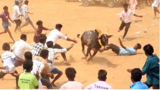 TRES MUERTOS EN EL MANJUVIRATTU DE ARALIPARAI, INDIA, EN 2026
