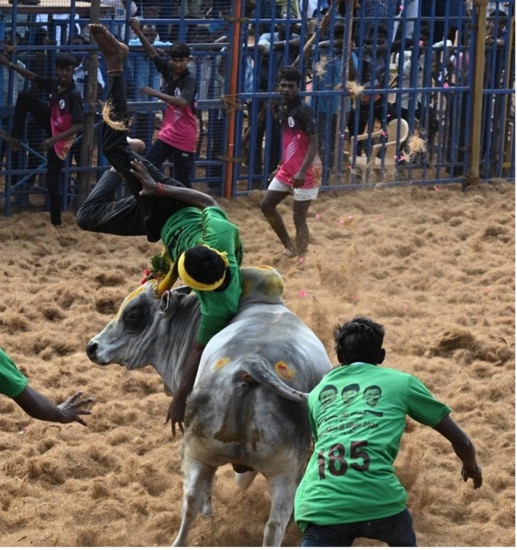 E. PRADEEP                2008  -  2026