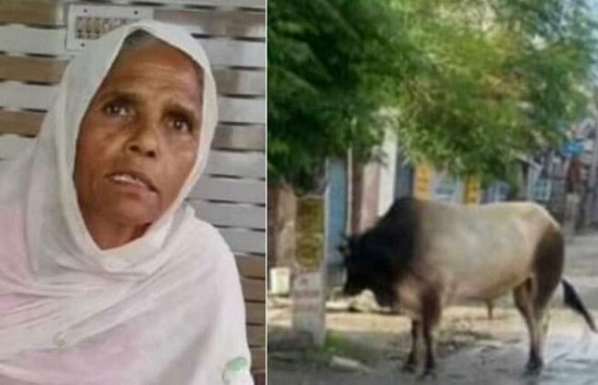 RAJDULARI 1963 - 2023 RAJDULARI 1963 - 2023