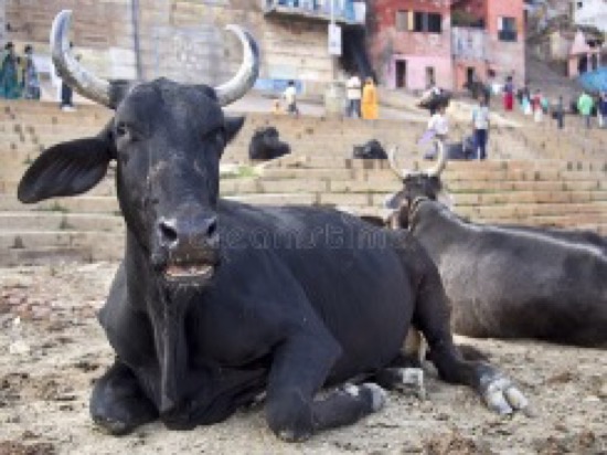 RAM SAHAY                1960  -  2026