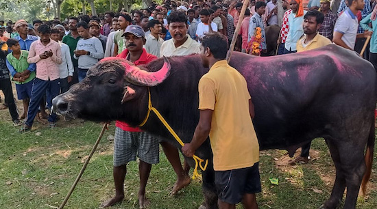 RATHU BAURI     1970  -  2022
