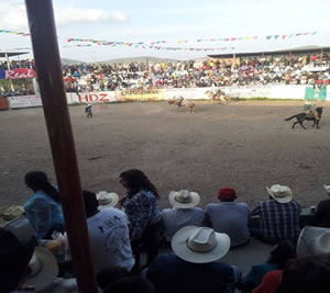 RAYMUNDO, DE ARCO GRANDE, S.L.P. MÉXICO         1998  -  2015