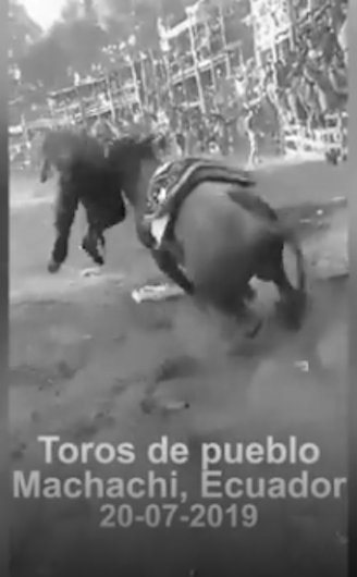 MUERE TORERO IMPROVISADO EN MACHACHI, ECUADOR, EN 2019
