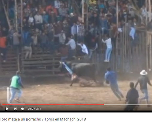 TORO MATA A UN CHOLO EN MACHACHI, ECUADOR, EN 2018
