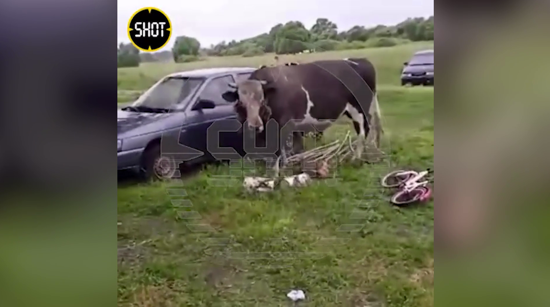 TORO MATA A MUJER EN SOLDATSKOYE, RUSIA, EN 2023
