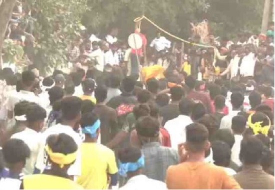 TRES MUERTOS POR TOROS EN LAS FESTIVIDADES DE HAVERI, INDIA EN 2025