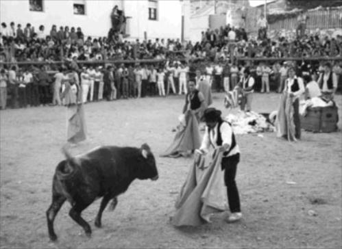 JULIÁN FERNÁNDEZ BENITO