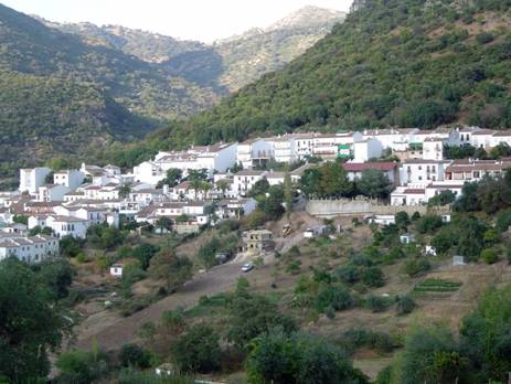 C. S. P. MUERE EN  FIESTAS DE BENAMAHOMA, CADIZ