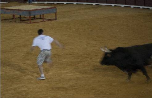 JOVEN DE ALGEMESÍ MUERTO POR EL TORO RATÓN