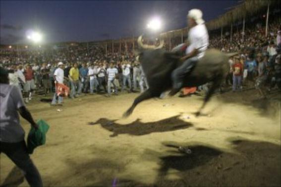 ALGUNOS MONTADORES TICOS FALLECIDOS