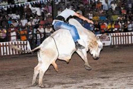 25 VÍCTIMAS DEL TORO  "CÁSCARA DE GUINEO"  EN NICARAGUA