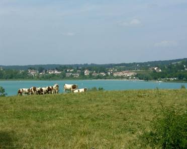 TORO CAUSA DOS MUERTES EN LE-CROZAT, UXELLES, FRANCIA  EN  2012